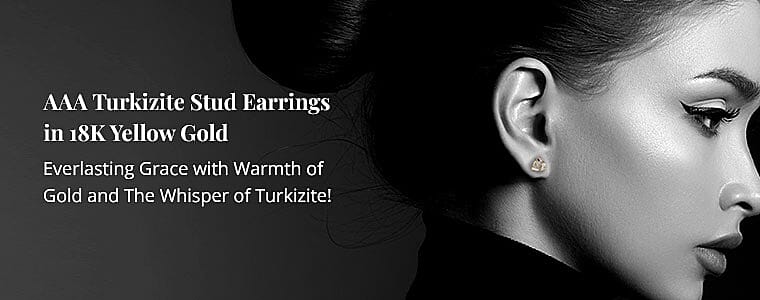 Turkizite Stud Earrings in 18K Yellow Gold Banner