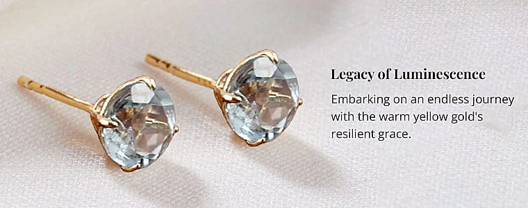 Legacy of Luminescence Banner