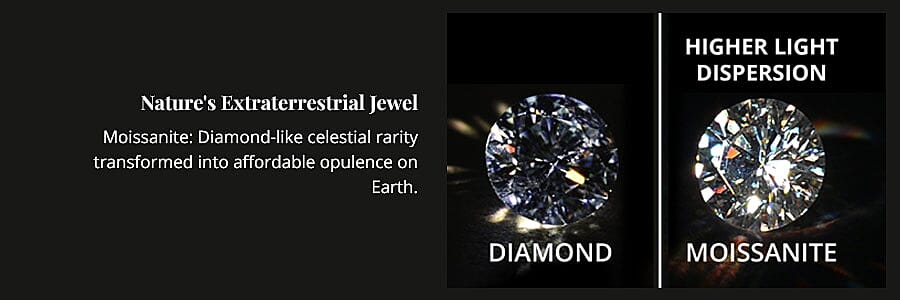 Nature's Extraterrestrial Jewel Banner