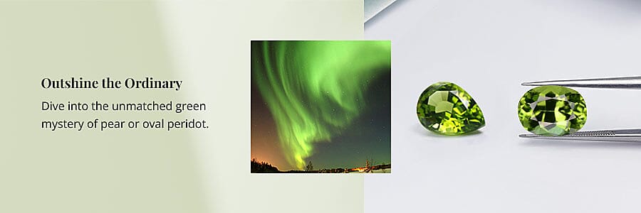 A Burst of Beauty Banner