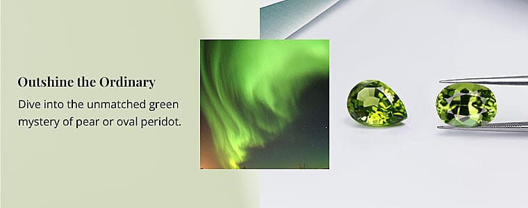 A Burst of Beauty Banner