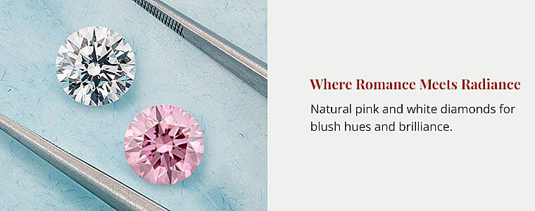 Where Romance Meets Radiance Banner