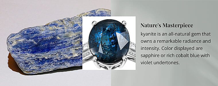 Nature's Masterpiece Banner