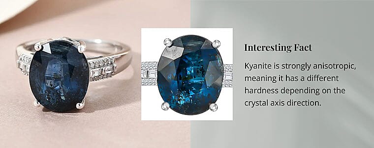 Interesting Fact Banner