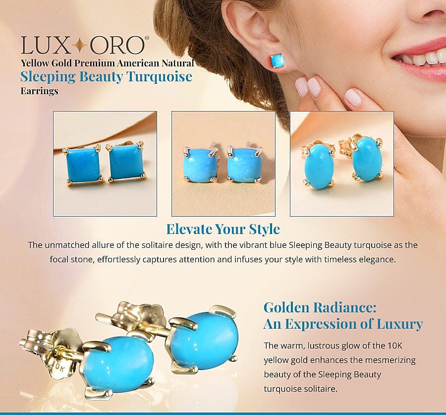 Sleeping Beauty Turquoise Earrings Banner