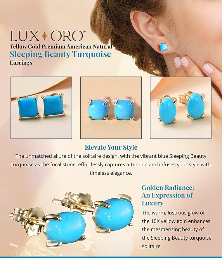 Sleeping Beauty Turquoise Earrings Banner