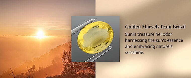 Golden Marvels from Brazil Banner