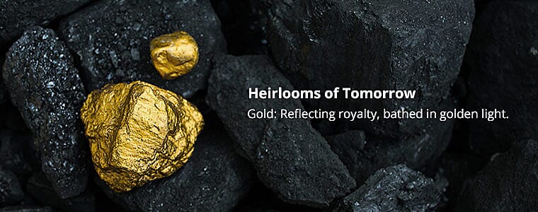 Distinctive Look Banner