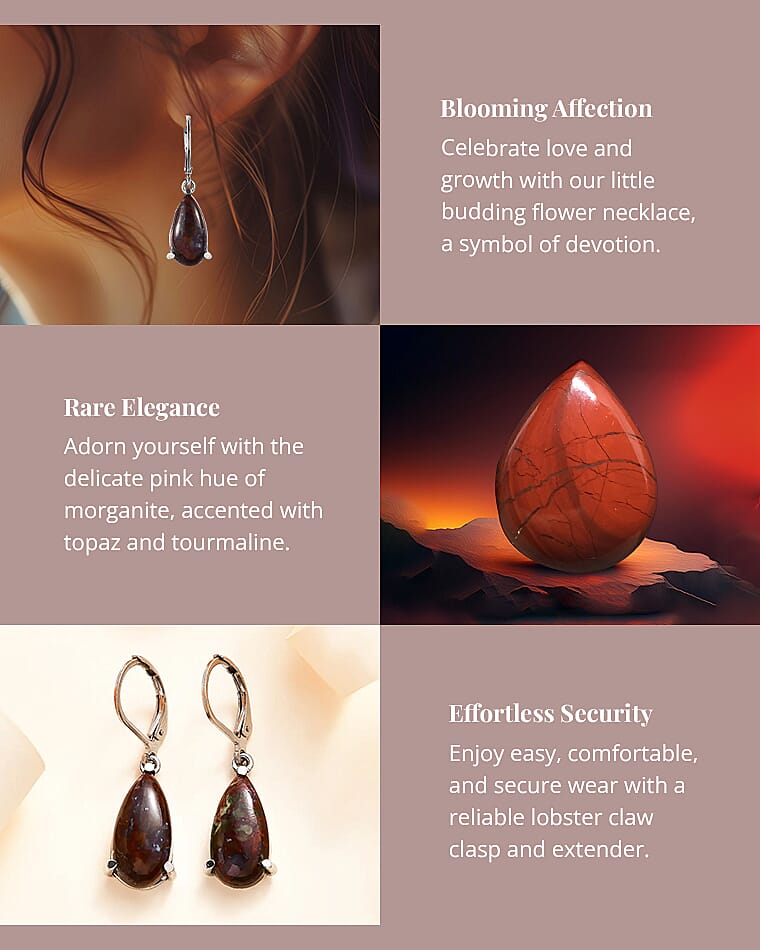Red Lighting Jasper Lever Back Earrings in Stainless Steel Banner