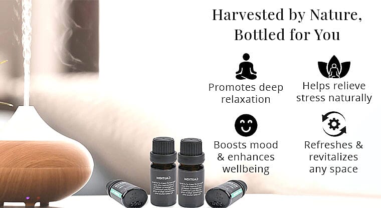 Harvested by Nature, Bottled for You Banner