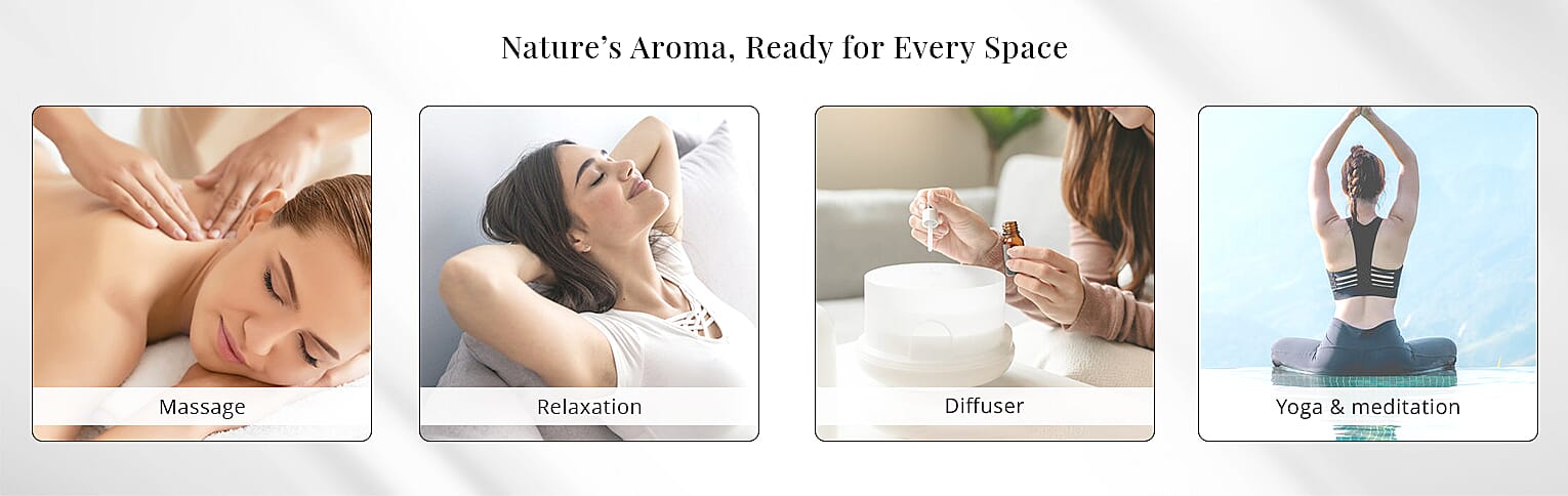 Nature’s Aroma, Ready for Every Space Banner
