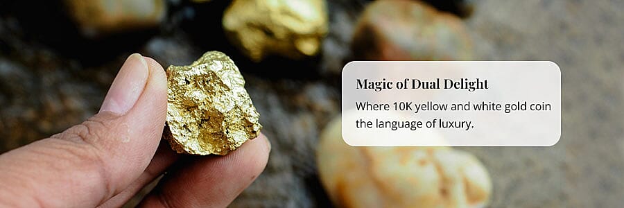 Magic of Dual Delight Banner