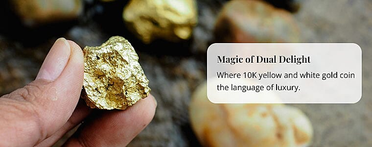 Magic of Dual Delight Banner