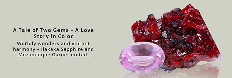 Ilakaka Hot Pink Banner