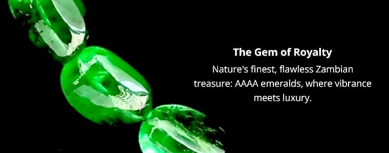 Whispers of Wings Banner