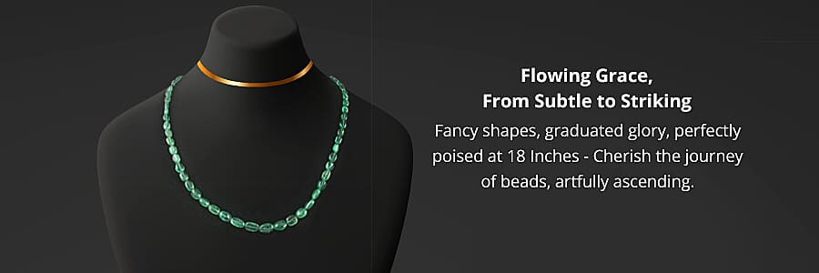 The Platinum Touch Banner