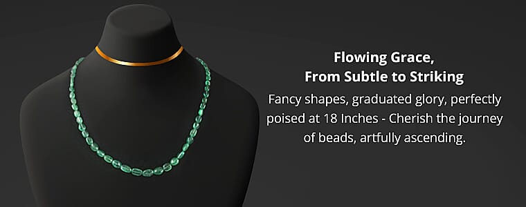 The Platinum Touch Banner