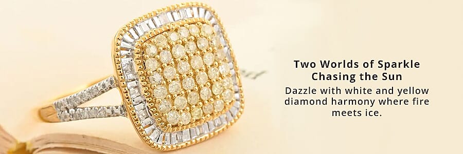 Unveiling Sunlit Splendor! Banner