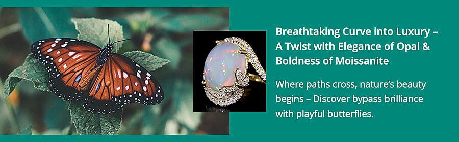 Unlock the Aura and embark on a Journey with Welo's Finest Banner