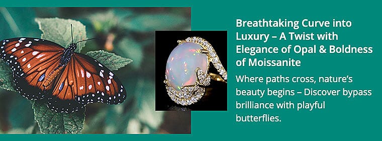 Unlock the Aura and embark on a Journey with Welo's Finest Banner