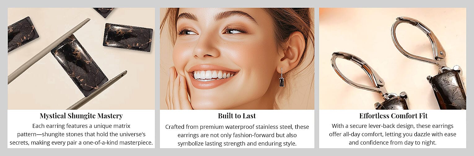 Matrix Silver Shungite 3.75 ctw Lever Back Earrings Banner