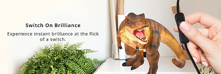 Where Durability Meets Dino Delight Banner