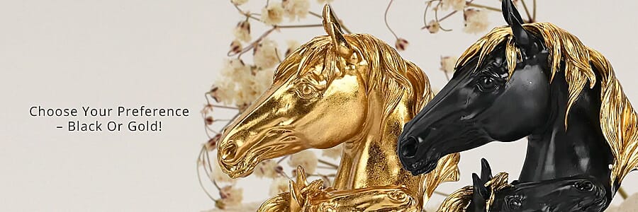 Elevate Any Space Banner