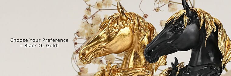 Elevate Any Space Banner