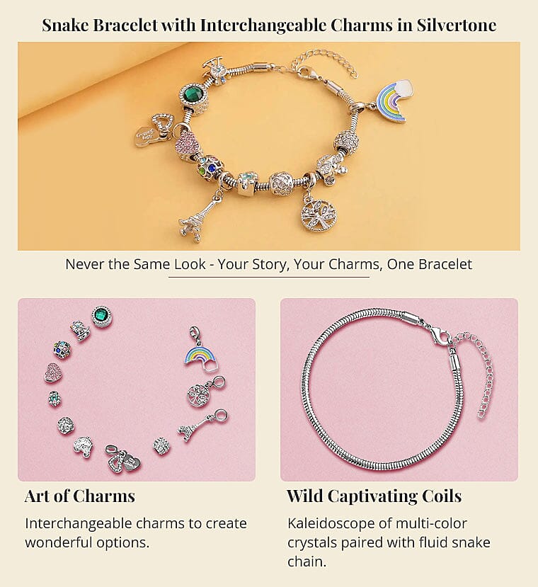 Snake Bracelet with Interchangeable Charms in Silvertone Banner