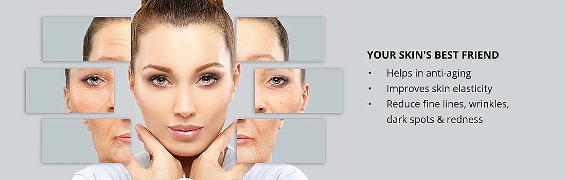 Your Ultimate Aging Companion Banner
