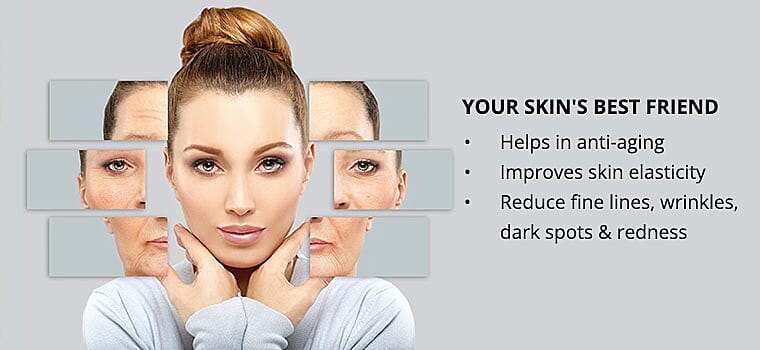 Your Ultimate Aging Companion Banner