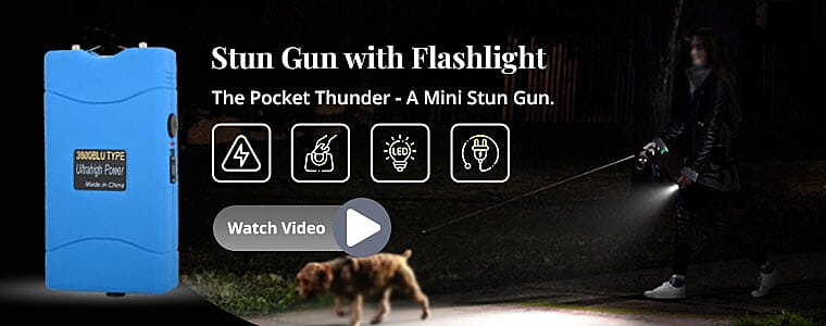 Stun Gun with Flashlight Banner