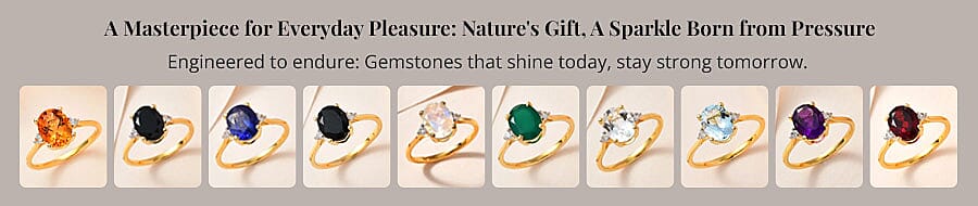 A Masterpiece for Everyday Pleasure Banner