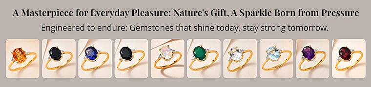 A Masterpiece for Everyday Pleasure Banner