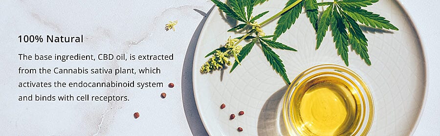 Thoughtful Protection Banner