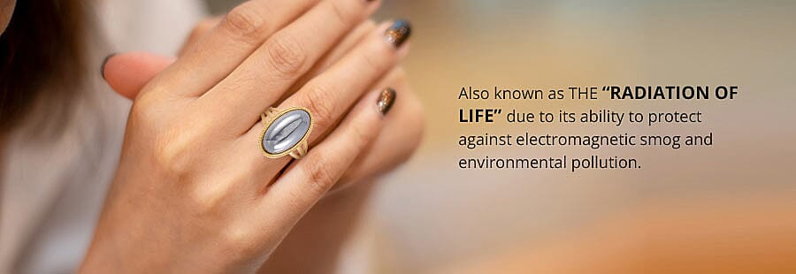 RADIATION OF LIFE Banner