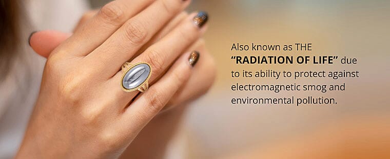 RADIATION OF LIFE Banner