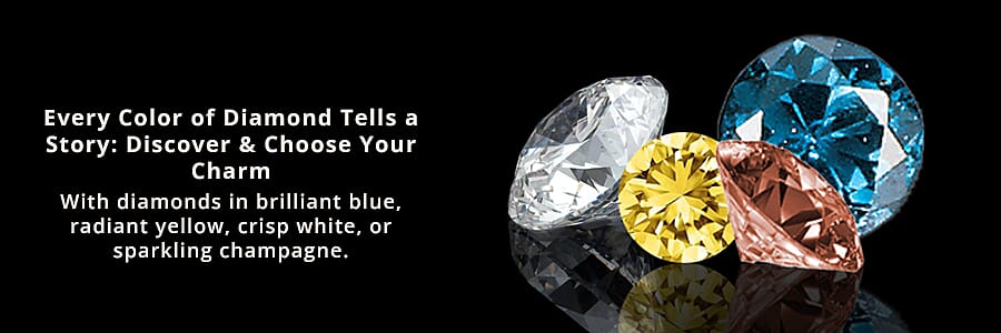 Widen the Gaze  Banner