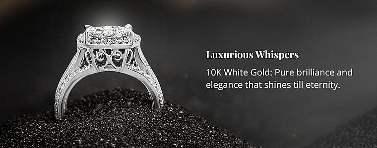 Luxurious Whispers Banner