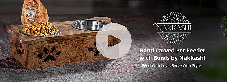 Hand Carved Pet Feeder with Bowls by Nakkashi  Banner