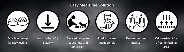 Feed With Love, Serve With Style Banner