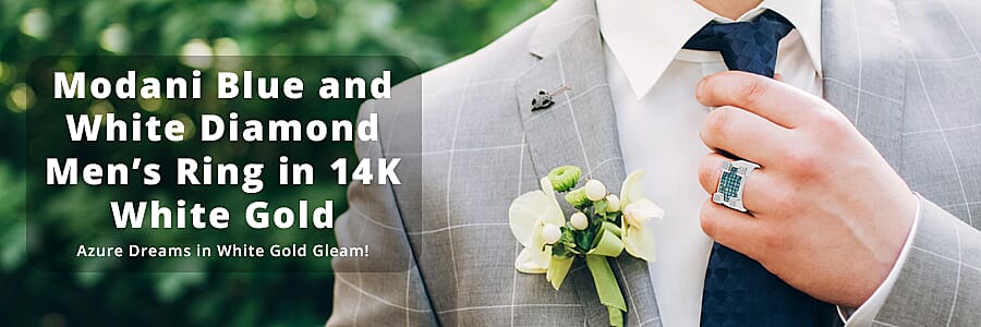 Modani Blue and White Diamond  Banner