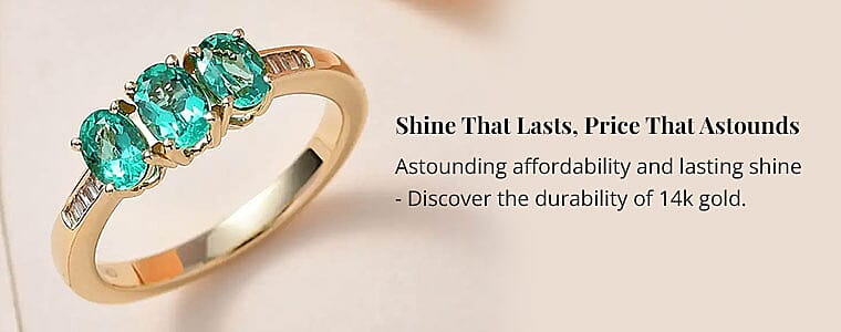 Shine That Lasts, Price That Astounds Banner