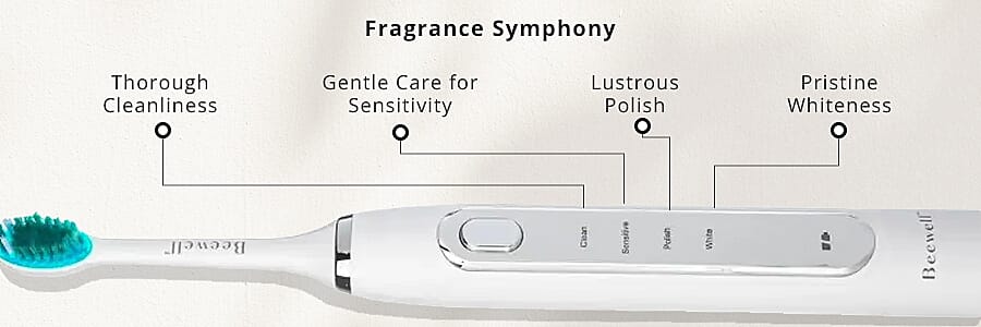 Fast, Efficient, Electric Banner