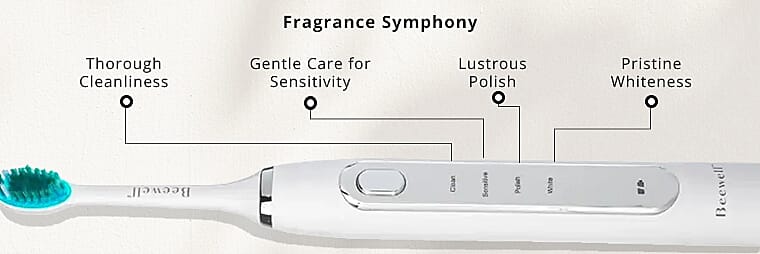 Fast, Efficient, Electric Banner