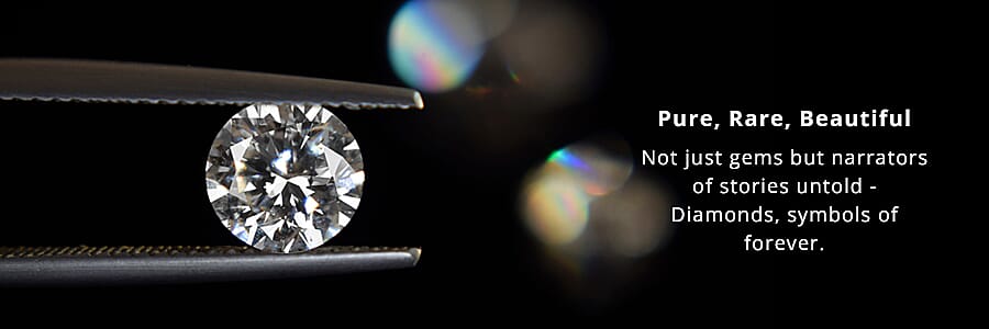 Celebrate Your Shine Banner