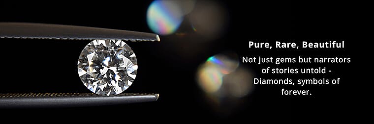 Celebrate Your Shine Banner