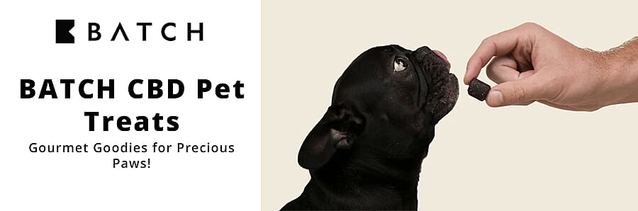 BATCH CBD Pet Treats Banner