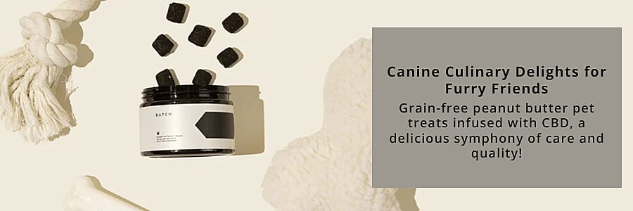 Gourmet Goodies  Banner