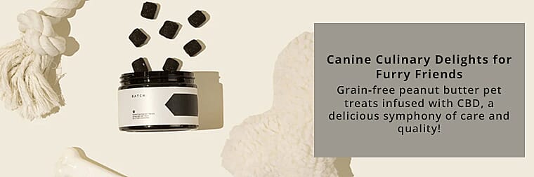 Gourmet Goodies  Banner